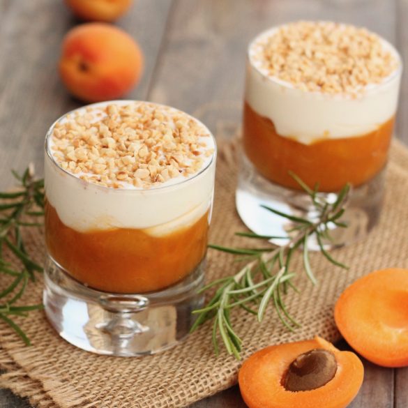 MOUSSE DI ALBICOCCHE AL ROSMARINO CON SKYR colazione fit