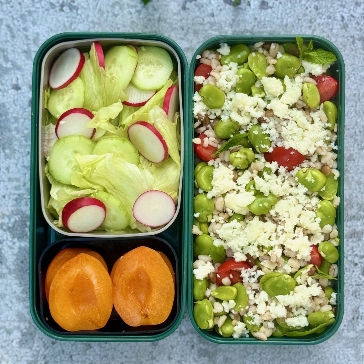 Schiscetta primaverile