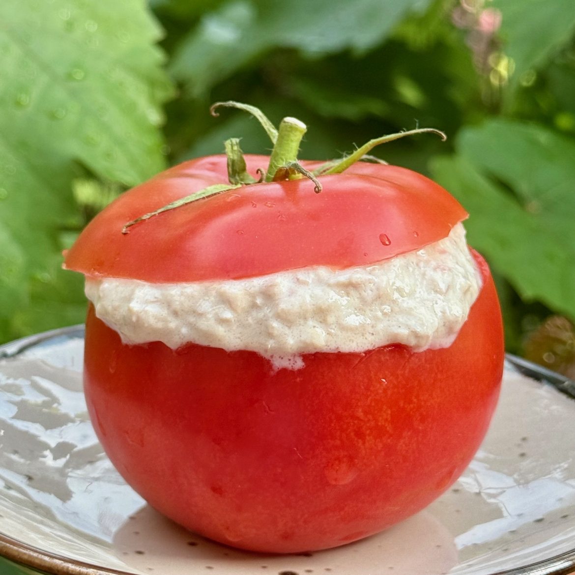 piatto estivo senza cottura